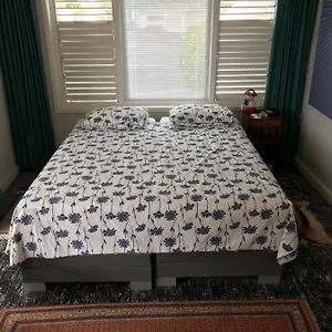 Villa Jacaranda Curacao Willemstad